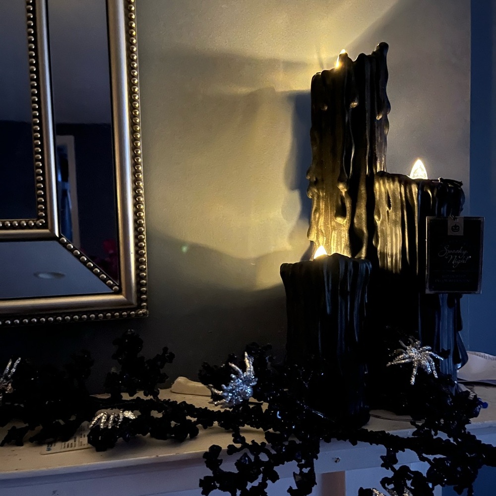 Black and Silver Spider Garland Rachel Zoe Garland candles are spooky night - Picture 9 of 9